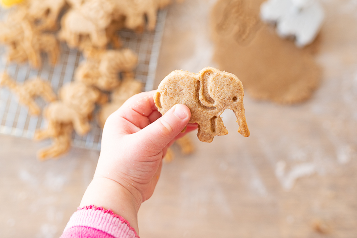 A small child's hand holding an elephant animal cracker.