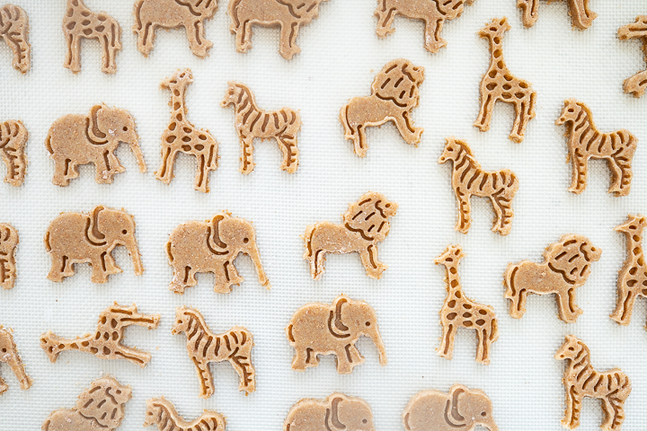 A variety of animal cookies on a white countertop.