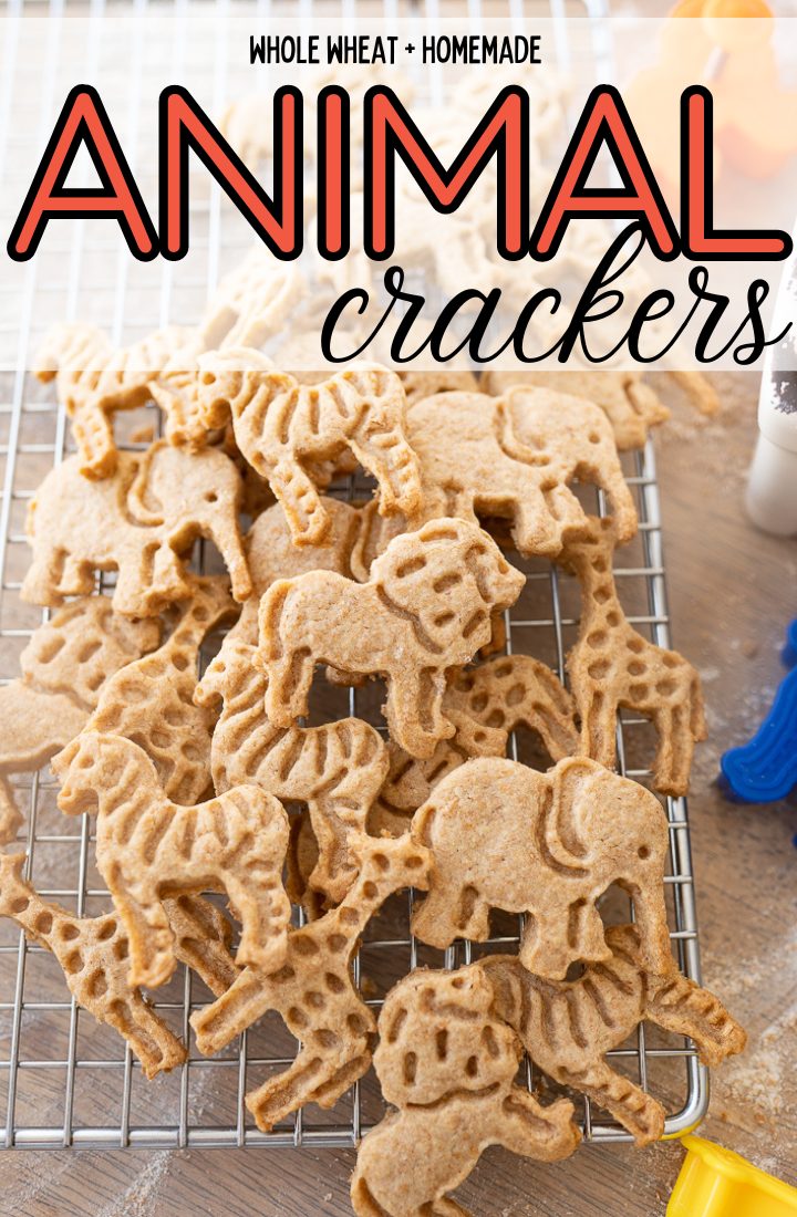 Animal cookies on a cooling rack with text on the photo that reads, "Whole Wheat + Homemade Animal Crackers."