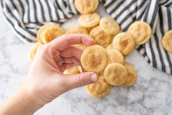 A hand holding a mini cookie with several more snickerdoodles on the counter in the background.