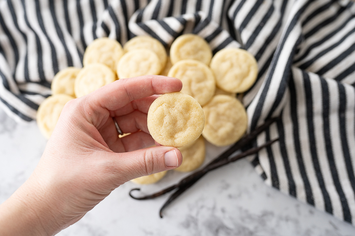 A hand holding a mini sugar cookie in the air over several other sugar cookies on the counter.