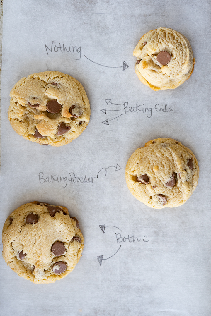 Four baked cookies on a piece of parchment paper. Each cookie is labeled with the type of leavening agent that was used: nothing, baking soda, baking powder, or both. 