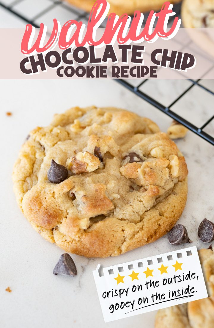 Close up of chocolate chip walnut cookie with cooling rack in the upper right hand corner. Text "Walnut Chocolate Chip Cookie Recipe" written across the top. 