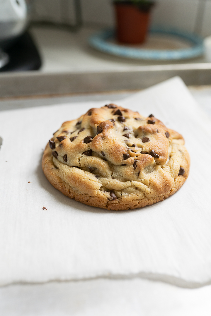 Single serve chocolate chip cookie sitting on a piece of parchment on the counter.