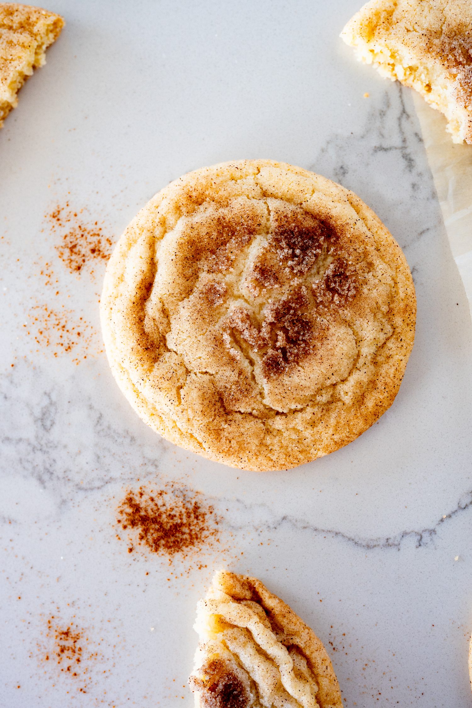 Snickerdoodle cookie on a counter, surrounded by pieces of additional cookies. 