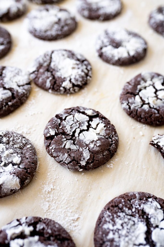Chocolate crinkle cookies scattered acrosss the counter. 