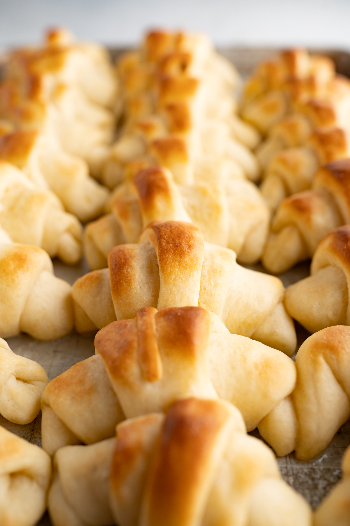 A side view of a sheet pan of homemade crescent rolls. 