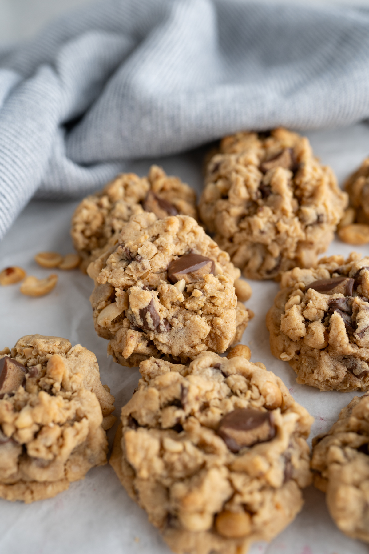 peanut butter oatmeal cookie with mix ins 